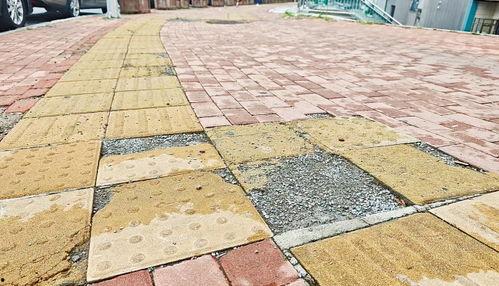 国产方砖评测视频大全下载,深度解析与全面对比