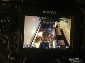 国产精品新品视频