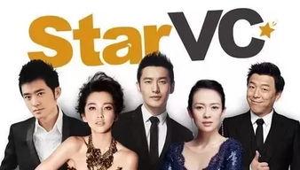 国产夫妻vc视频播放器,打造专属视听盛宴