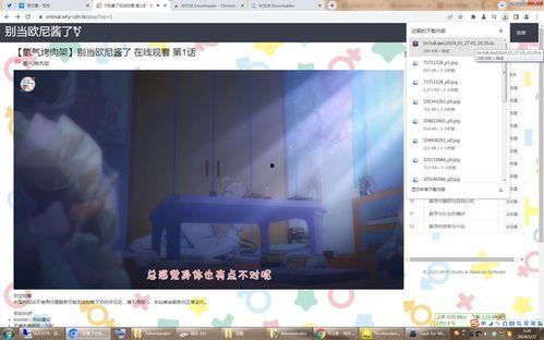 国产夫妻vc视频播放器,打造专属视听盛宴
