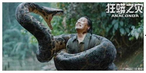 狂蟒之灾国产解说视频,国产解说版，惊心动魄的蟒蛇逃生记